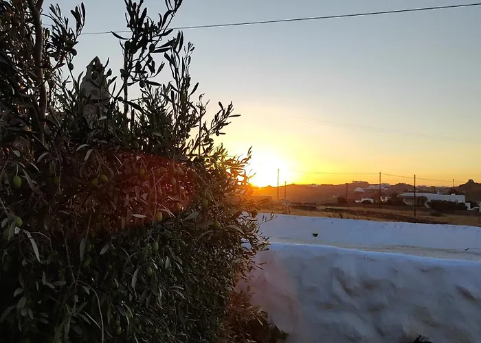 Artemis Super Paradise Beach (Mykonos)